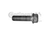 CONTITECH V41141 Screw